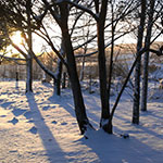 Photos: image 12 of 19