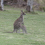 Photos: image 13 of 19