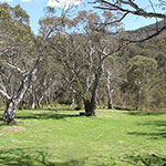 Photos: image 14 of 19