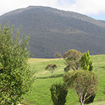 Photos: image 18 of 19