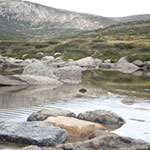 Photos: image 5 of 19