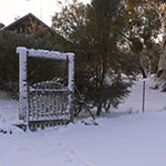 Photos: image 8 of 19